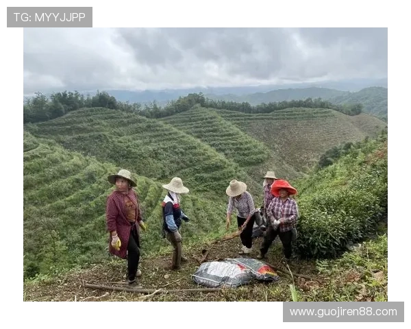 安徽在线直播平台助力乡村振兴发展